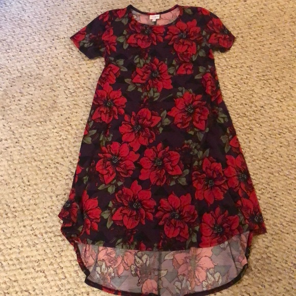 LuLaRoe Dresses & Skirts - LulaRoe Carly Dress